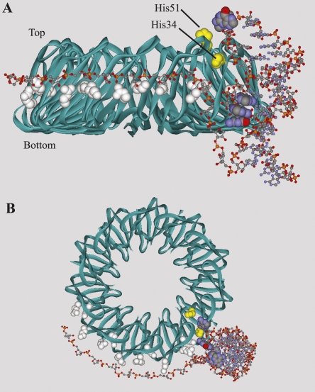 FIGURE 4.