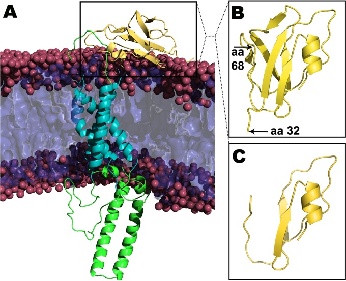 FIG 2