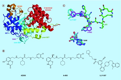 Figure 5. 