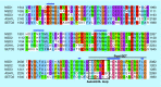 <b>Figure 4.</b>