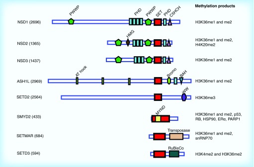 Figure 2. 