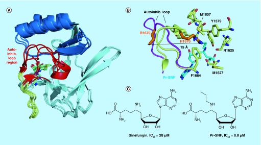 Figure 3. 