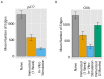 Figure 5—figure supplement 1.