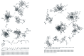 Figure 1—figure supplement 3.