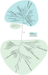 <sc>Fig</sc>. 2.