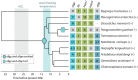 <sc>Fig</sc>. 5.