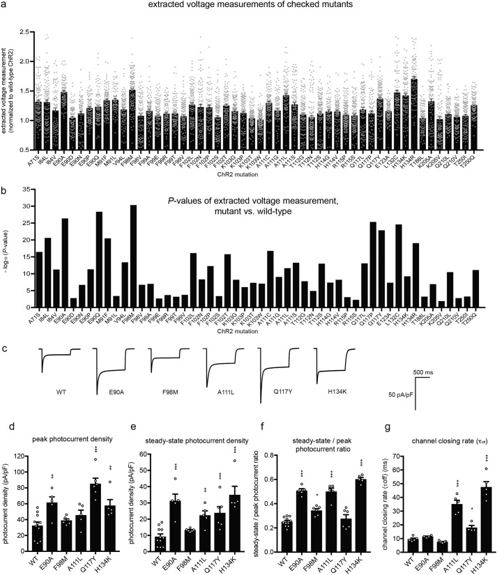 Figure 3.