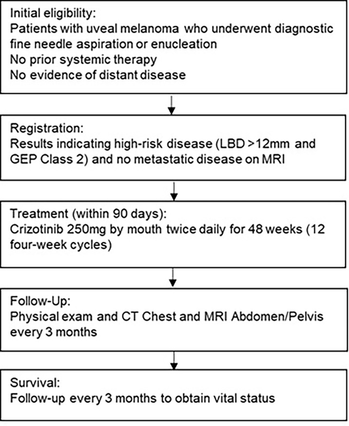 Figure 1