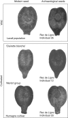 Fig. 6.