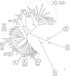 Fig. 4.