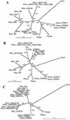 FIG. 6.