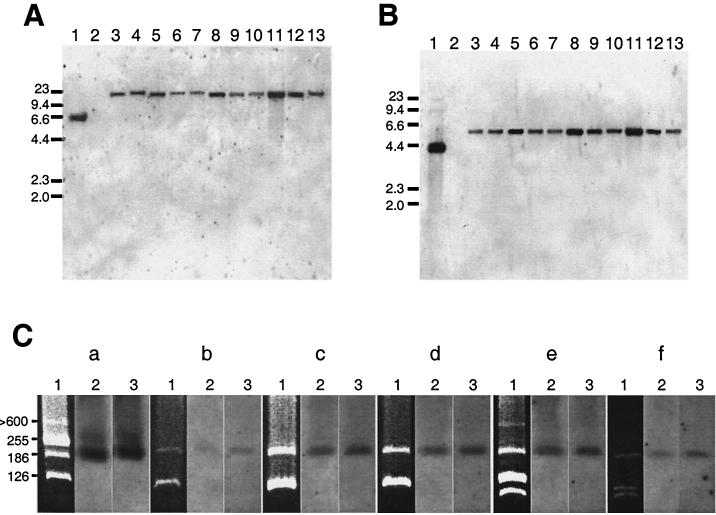 FIG. 5.