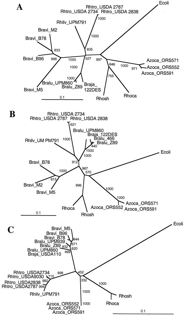 FIG. 6.