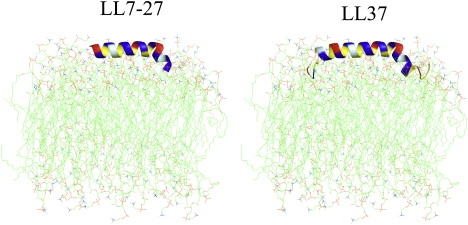 Figure 8