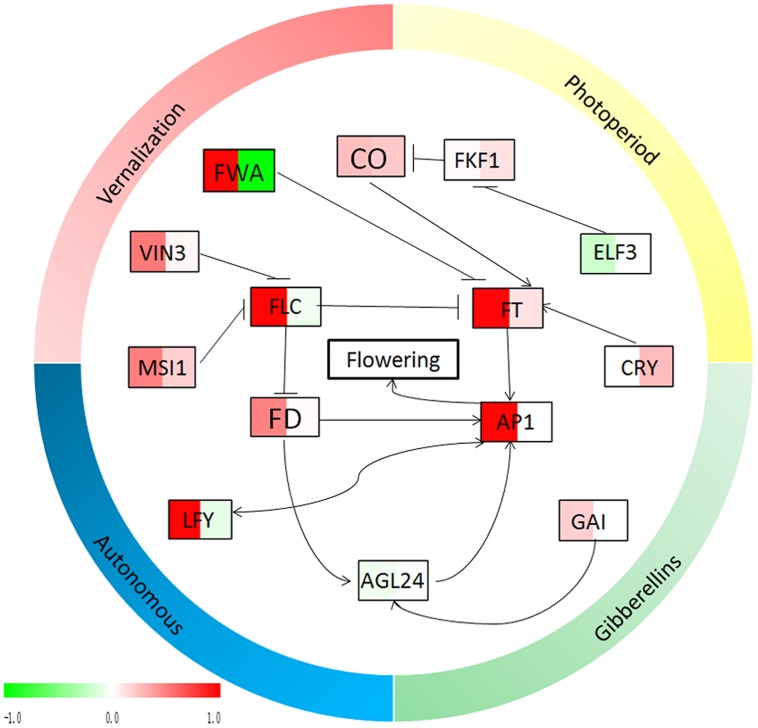 FIGURE 7