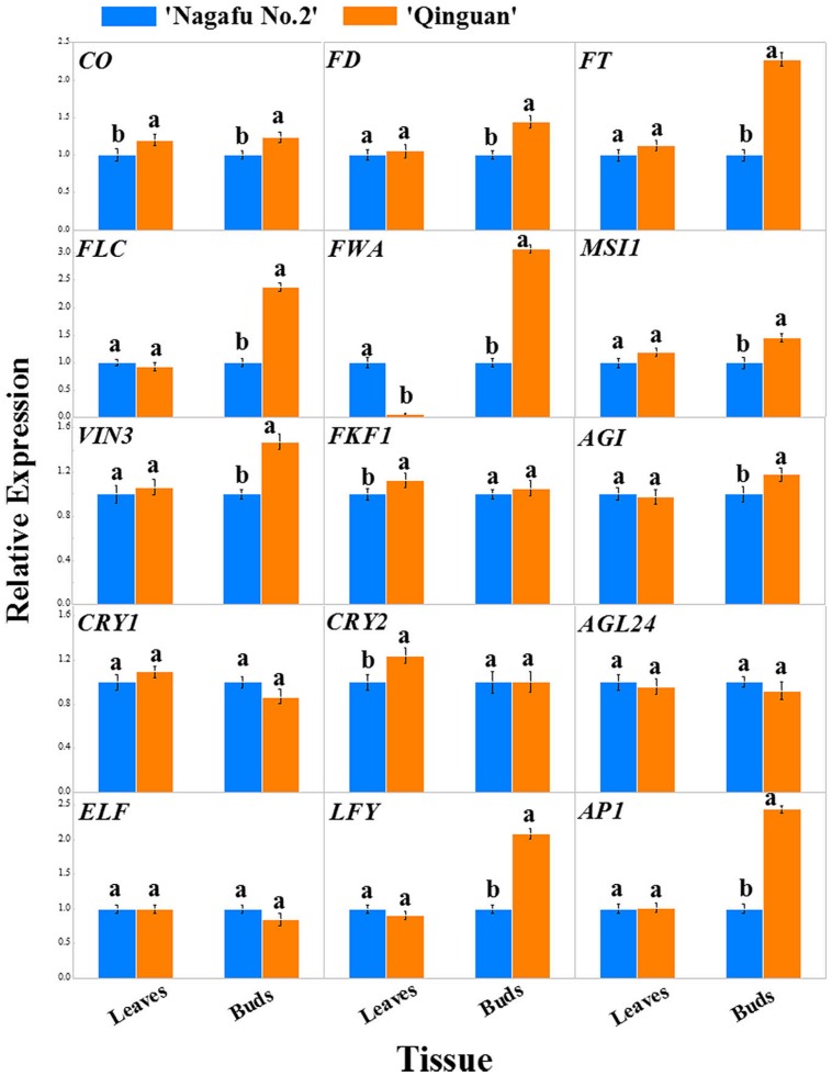 FIGURE 6