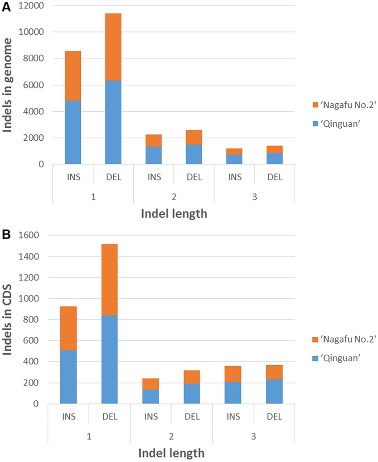 FIGURE 3