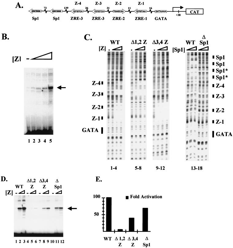 FIG. 1