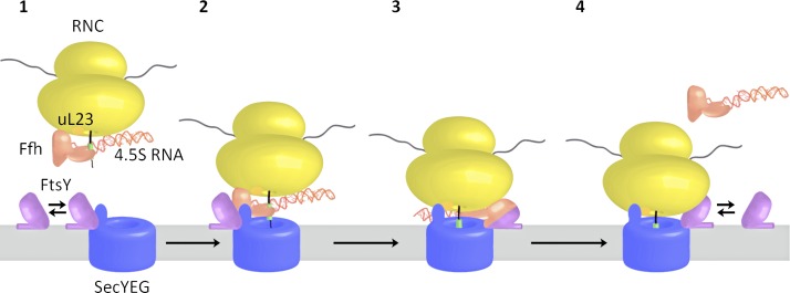 Figure 8.