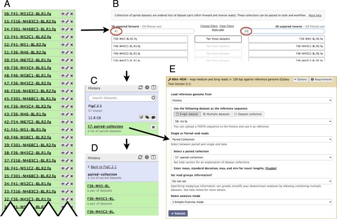 Figure 4.