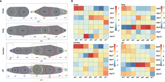 Figure 4