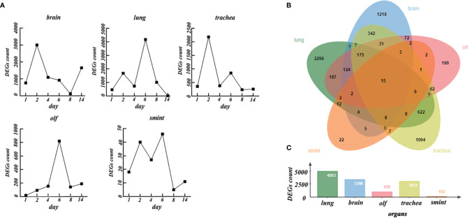 Figure 2