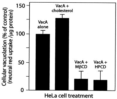 FIG. 8.