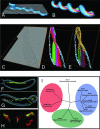 FIG. 4.