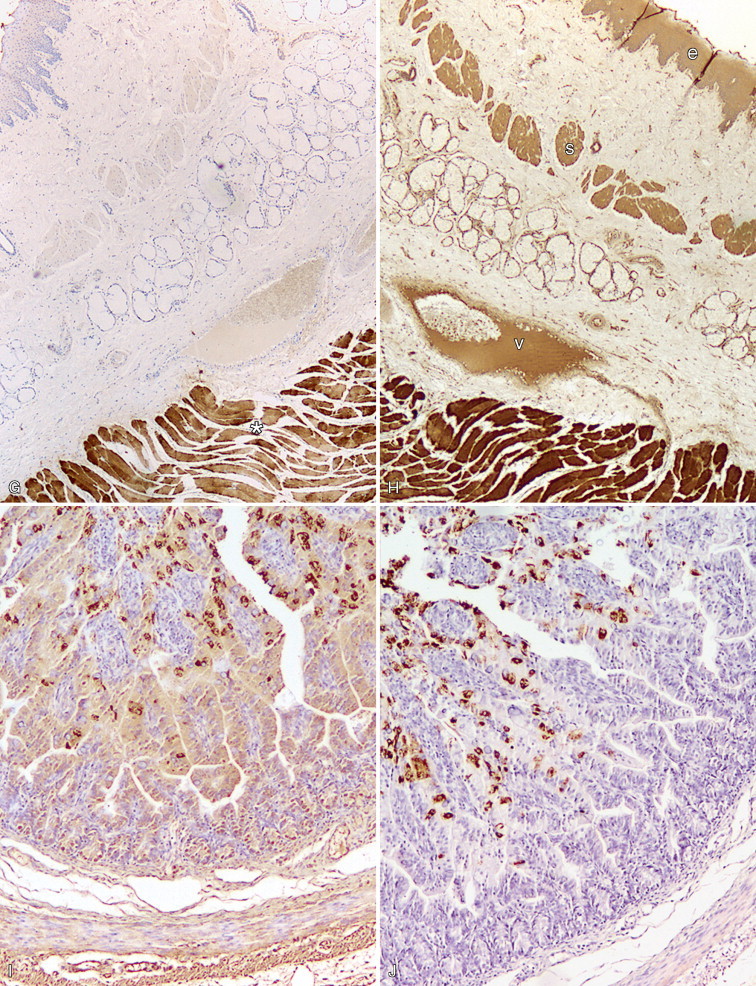 FIGURE 17-1