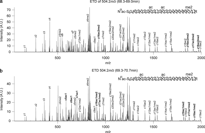 Fig. 10.