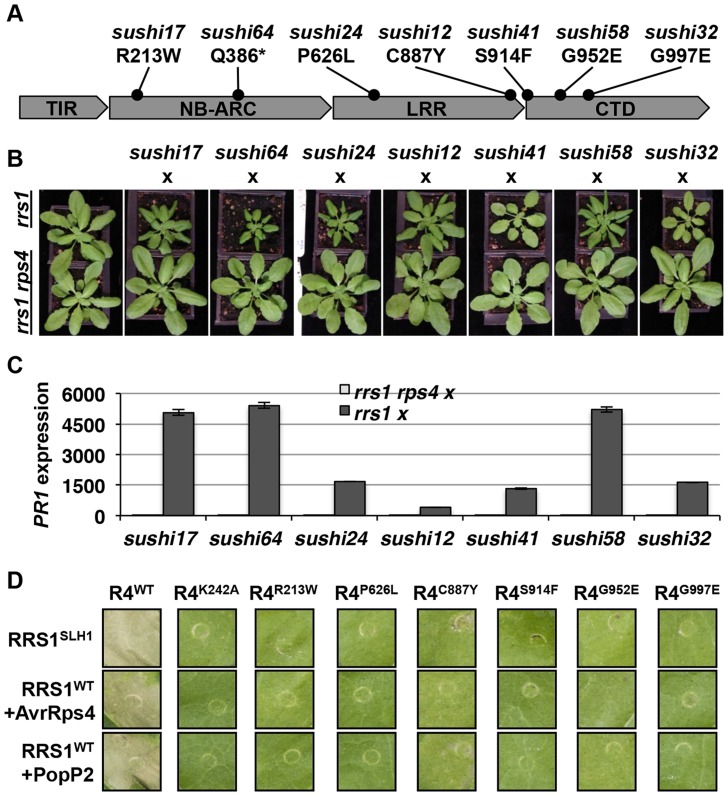 Figure 6