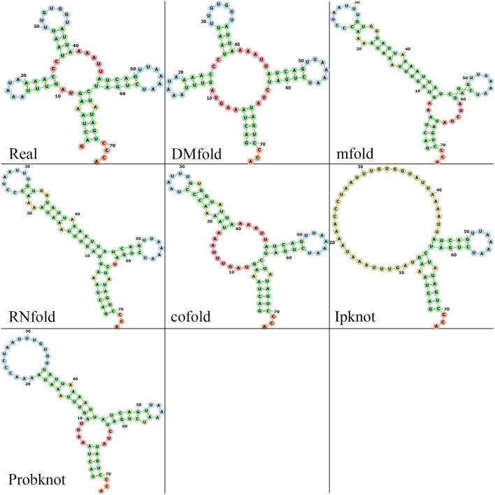 Figure 5