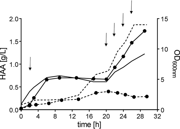 FIG 5