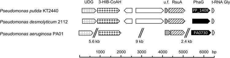 FIG 4