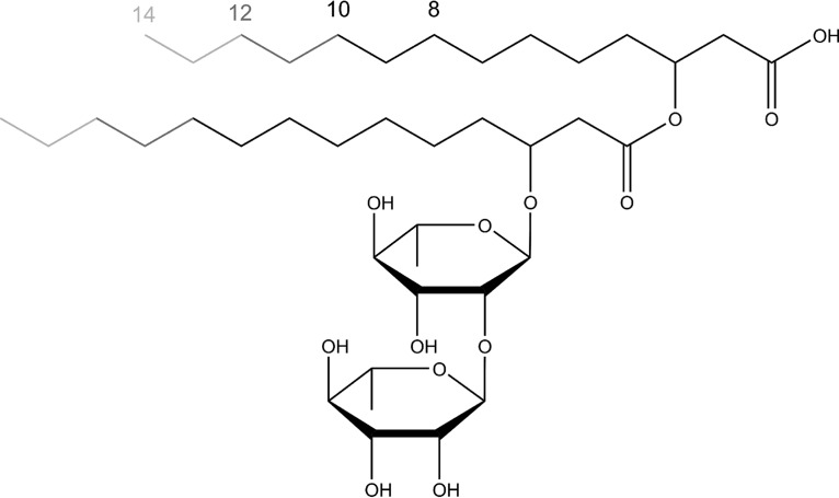 FIG 1