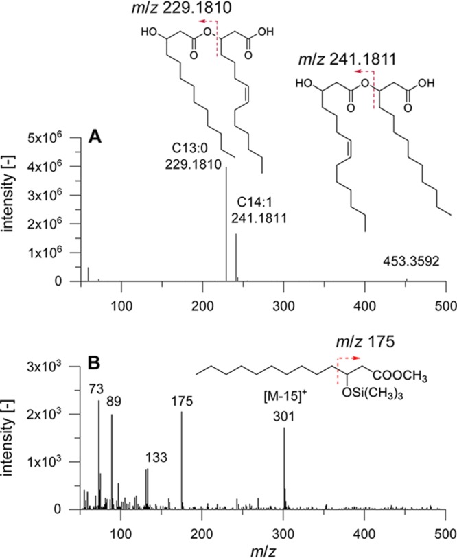 FIG 6