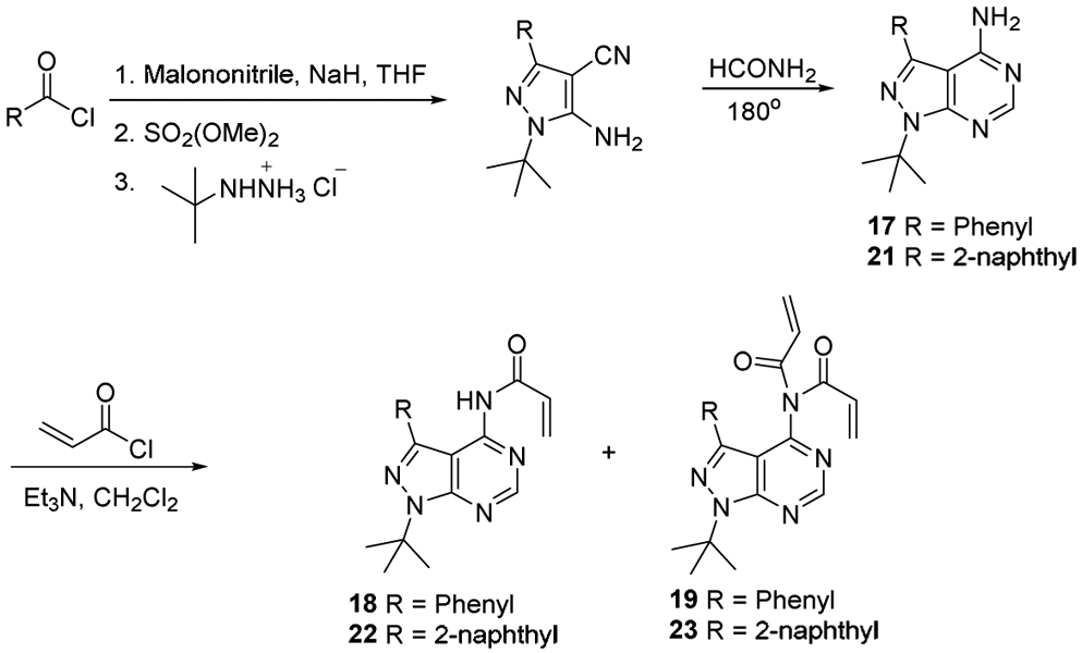 Scheme 2