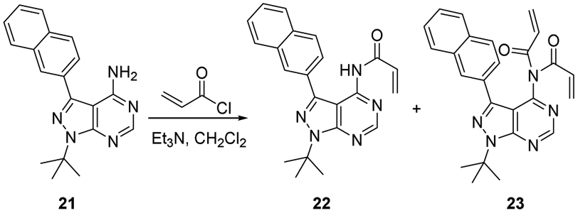 Scheme 5