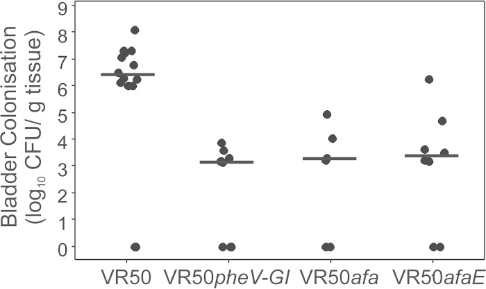 FIG 6