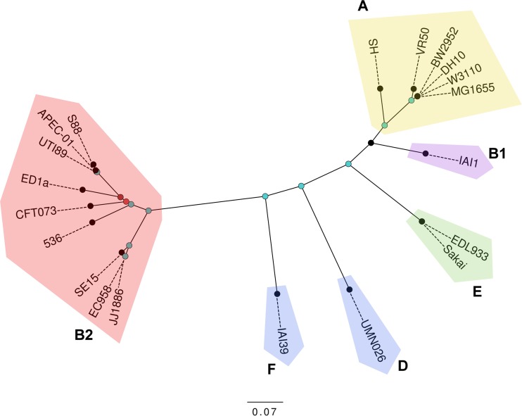 FIG 2