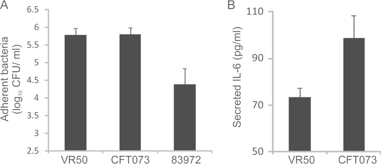 FIG 1