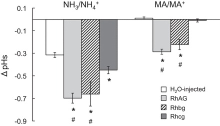 Fig. 10.