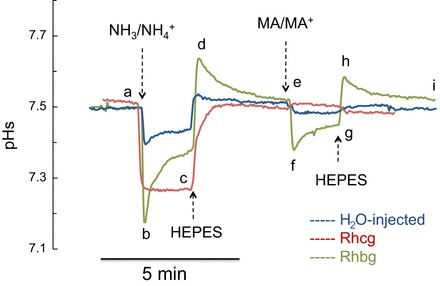 Fig. 9.