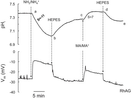 Fig. 4.