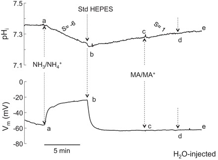 Fig. 5.