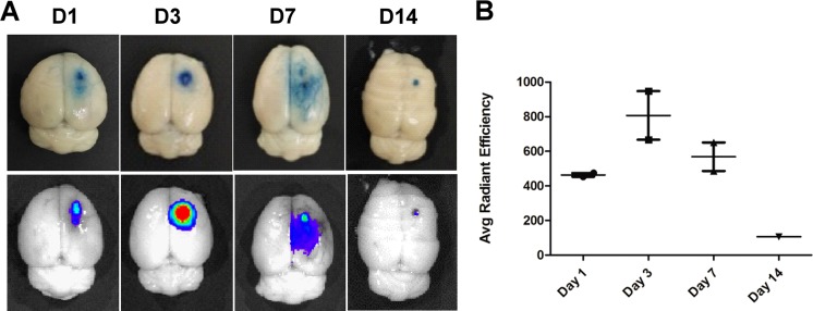 Fig. 7