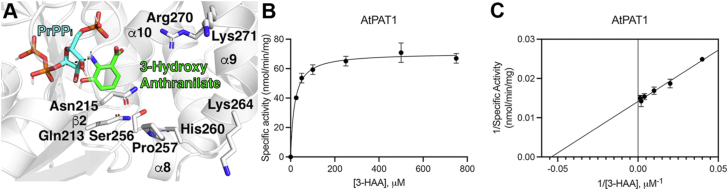 Figure 5