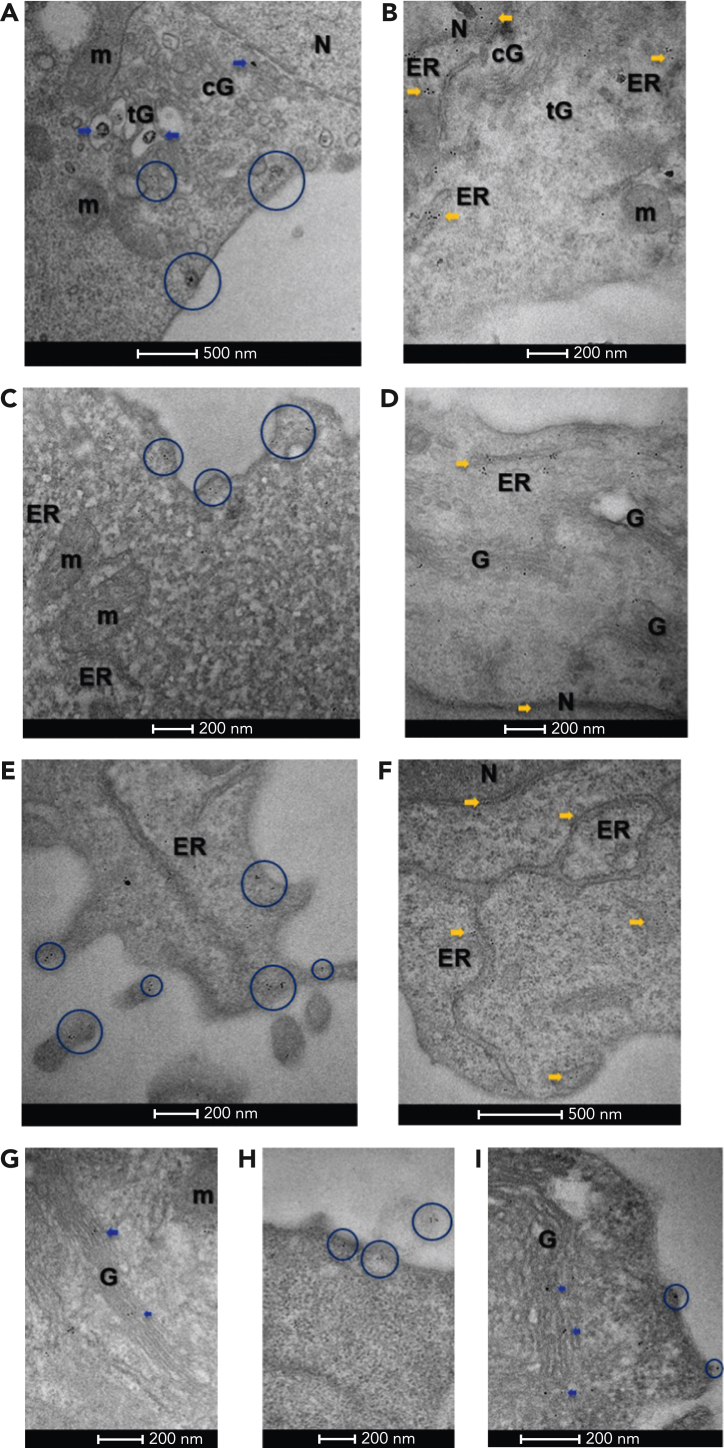 Figure 2.