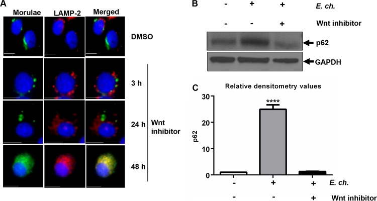 FIG 3