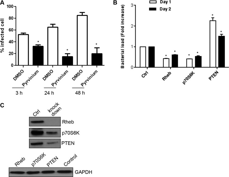 FIG 6